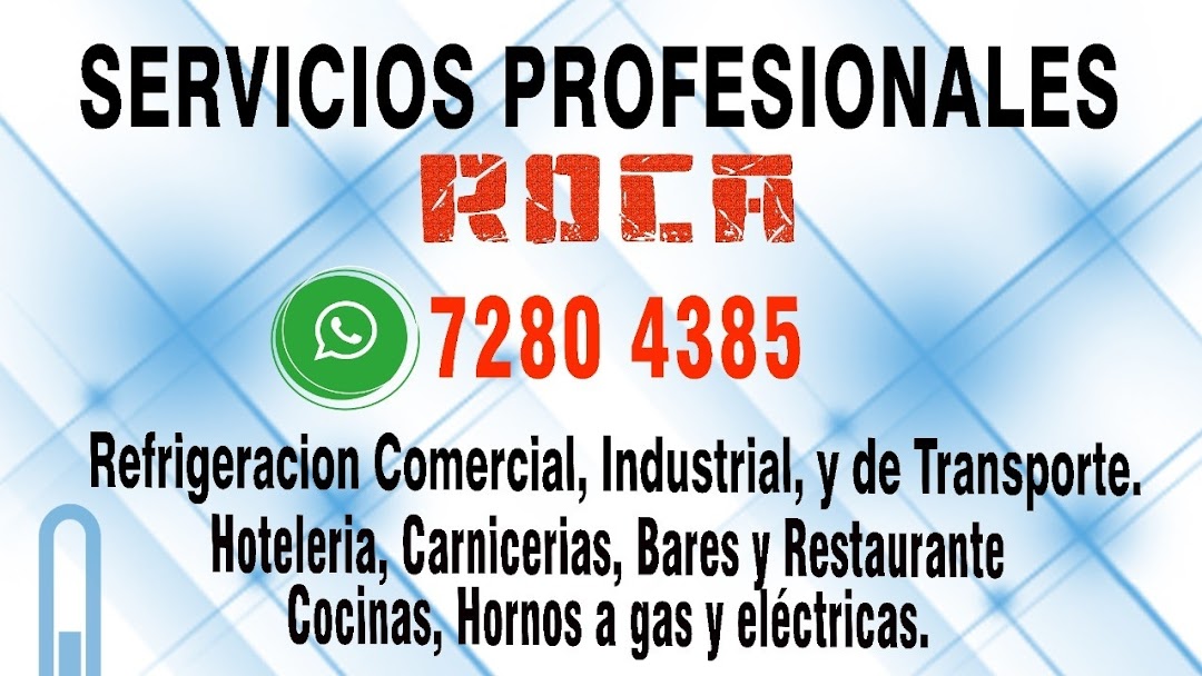 Servicios Profesionales Roca