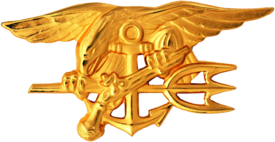 Investments the Navy s.a