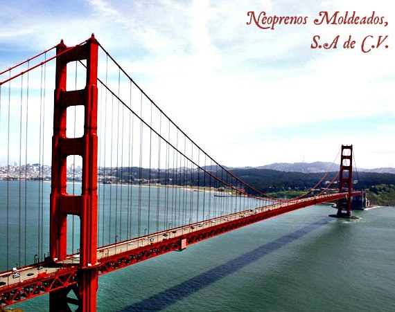 NEOPRENOS MOLDEADOS S.A DE C.V