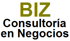 BIZ Consultoría