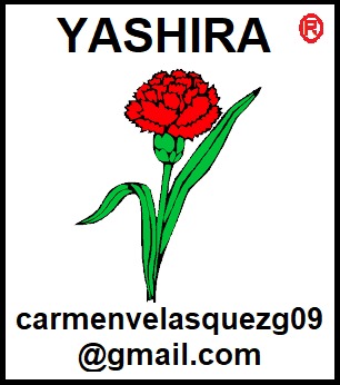 Yashira Deportiva y mas