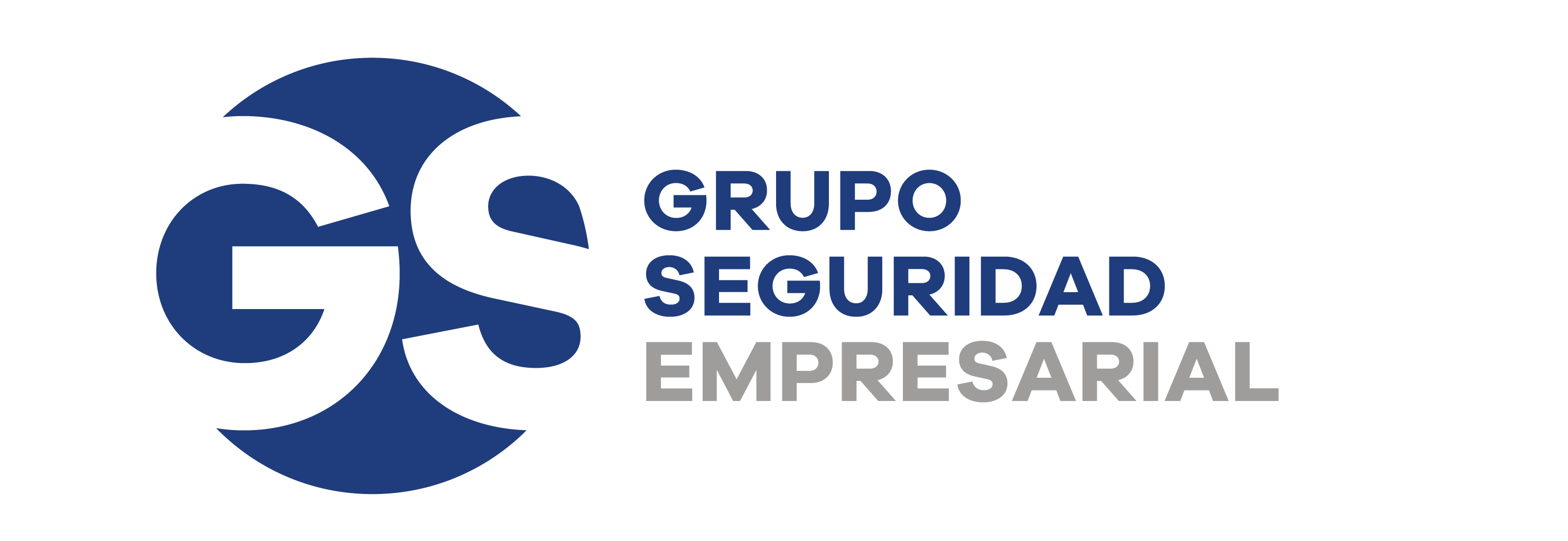 GSE Grupo de Seguridad Empresarial