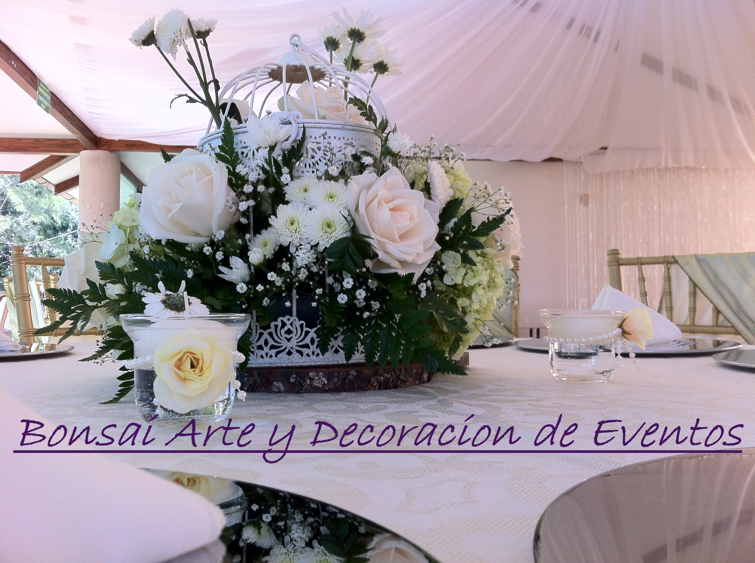 BONSAI ARTE Y DECORACION DE EVENTOS