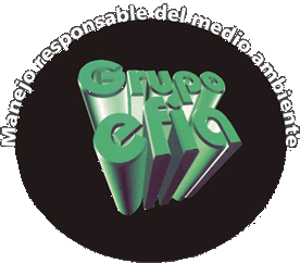 GRUPO EFIA