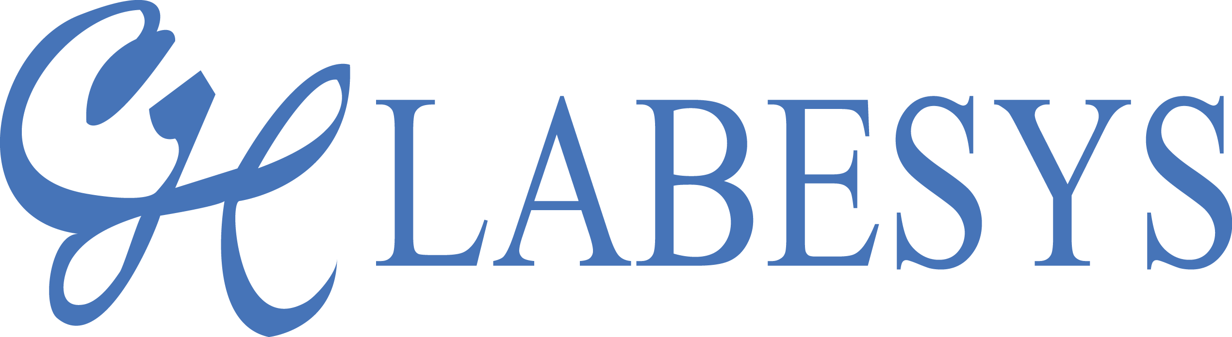 LABESYS