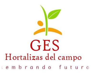 Hortalizas Del Campo