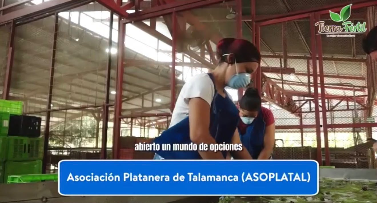 Videos Corporativos - imagen 4