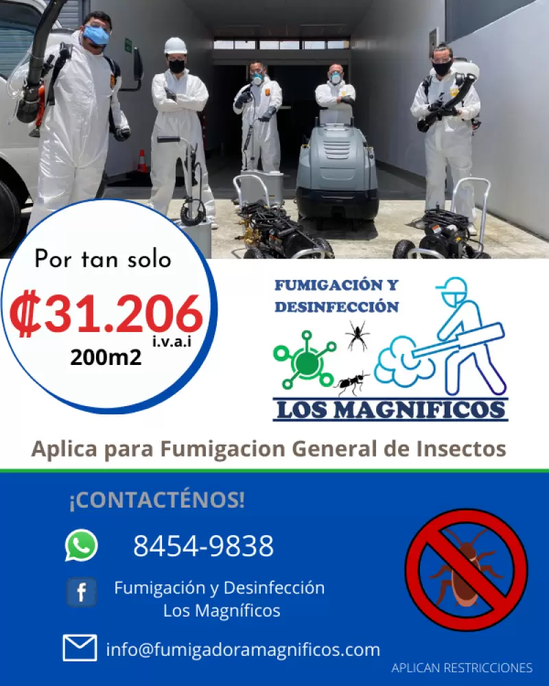 Fumigación General de Insectos