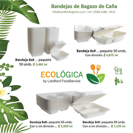 DISTRIBUIDORA APA: EMPAQUE Y ABARROTES PARA COMERCIO Y HOGARES - imagen 6